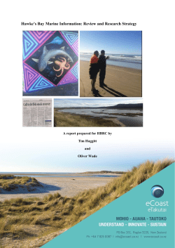 Hawke`s Bay Marine Information: Review and Research Strategy