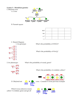 Mendelian genetics