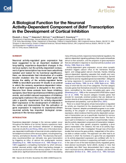 A Biological Function for the Neuronal Activity