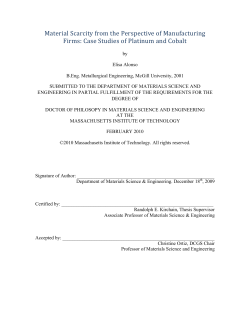 Material Scarcity from the Perspective of Manufacturing Firms: Case