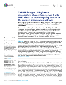 TAPBPR bridges UDP-glucose:glycoprotein glucosyltransferase 1