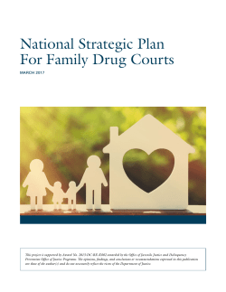National Strategic Plan For Family Drug Courts
