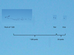 Flesh, Earthly Things Human Wisdom, Intellect I&hellip;My&hellip;Me&hellip;Now