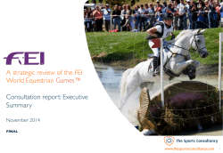 A strategic review of the FEI World Equestrian Games