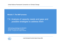 7.4. Analysis of capacity needs and gaps and possible strategies to