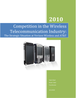 Competition in the Wireless Telecommunication