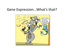 Gene Regulation