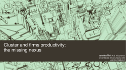 Cluster and firms productivity: the missing nexus