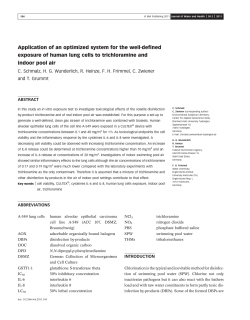 Application of an optimized system for the well
