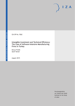 Intangible Investment and Technical Efficiency: The Case of