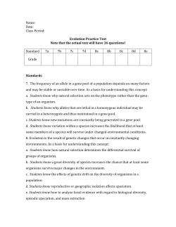 Evolution Practice Test