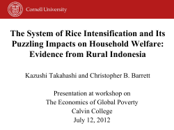 The System of Rice Intensification and Its