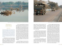 GAME DRIVES IN DIFFERENT REGIONS The