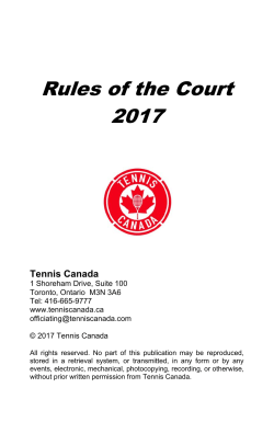 Rules of the Court 2017