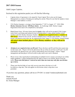 July 6, 2010 - Anchorage Adult Hockey League