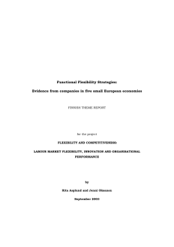 The &ldquo;flexible firm&rdquo; can be seen as a concept summarising the