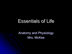 Integumentary System - Atlanta Public Schools