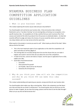 Nyamuka Zambia Guidelines for filling the Business Concept Form