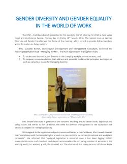 gender diversity and gender equality in the world of work