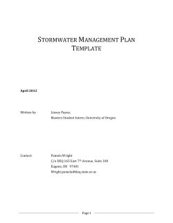 Stormwater Management Plan Template