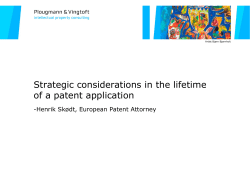 Strategic considerations in the lifetime of a patent application