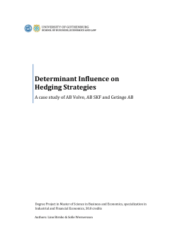 Determinant Influence on Hedging Strategies