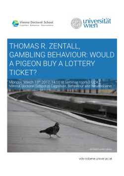 thomas r. zentall, gambling behaviour: would a pigeon buy a lottery