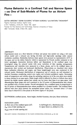 Plume Behavior in a Confined Tall and Narrow Space