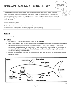 Key - Issaquah Connect