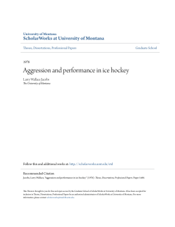 Aggression and performance in ice hockey