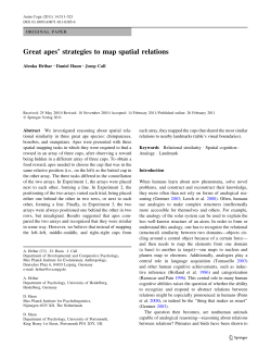 Great apes` strategies to map spatial relations