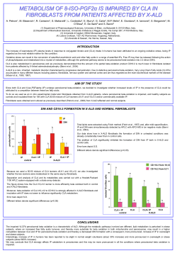 Diapositiva 1