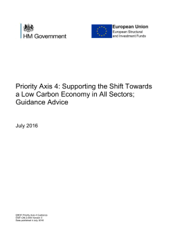 Priority Axis 4 Guidance