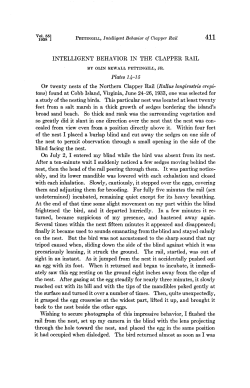 INTELLIGENT BEHAVIOR IN THE CLAPPER RAIL