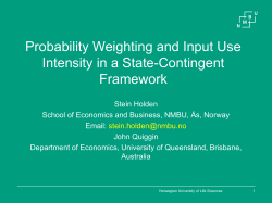 Probability Weighting and Input Use Intensity in a State
