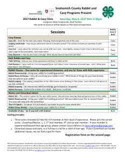 2017 Rabbit and Cavy Clinic Flyer
