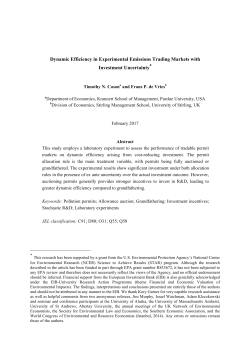 Dynamic Efficiency in Experimental Emissions Trading Markets with