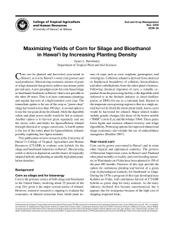 Maximizing Yields of Corn for Silage and Bioethanol in Hawai`i by