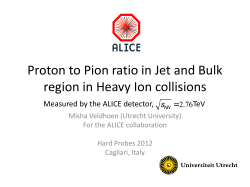 Slides - Agenda INFN