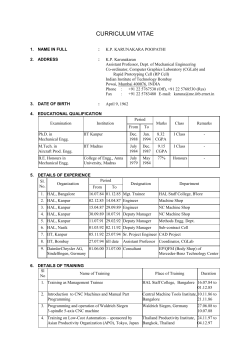 curriculum vitae