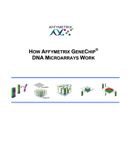 how affymetrix gene chip icroarrays work