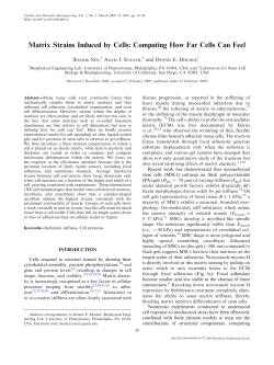 Matrix Strains Induced by Cells: Computing How Far Cells Can Feel