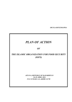 plan of action