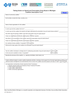 Coalition Description Form - Blue Cross Blue Shield of Michigan