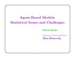 Agent-Based Models: Statistical Issues and
