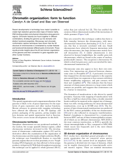 Chromatin organization: form to function