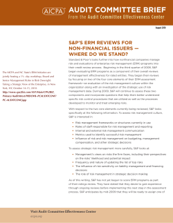 audit committee brief