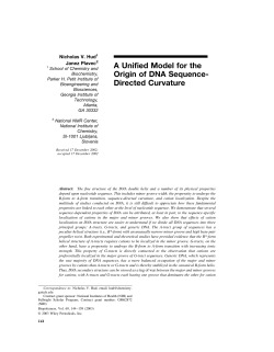 A Unified Model for the Origin of DNA Sequence