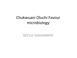 Chukwuani_Oluchi_Favour_1