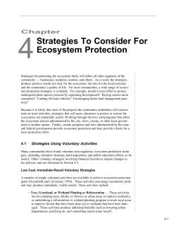 Strategies To Consider For Ecosystem Protection